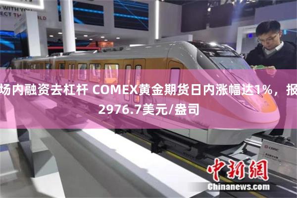 场内融资去杠杆 COMEX黄金期货日内涨幅达1%,报2976.7美元/盎司