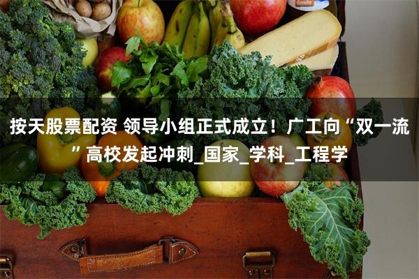 按天股票配资 领导小组正式成立！广工向“双一流”高校发起冲刺_国家_学科_工程学