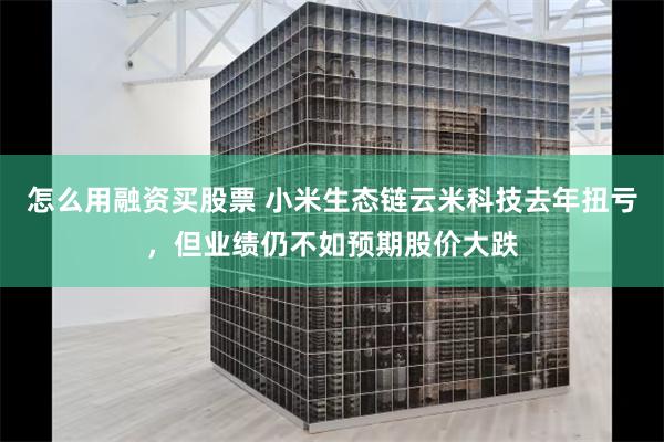 怎么用融资买股票 小米生态链云米科技去年扭亏，但业绩仍不如预期股价大跌