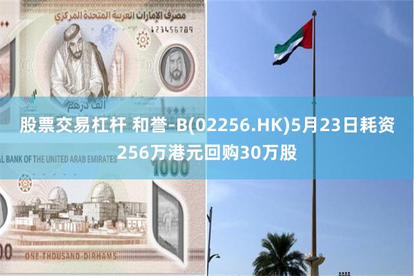 股票交易杠杆 和誉-B(02256.HK)5月23日耗资256万港元回购30万股
