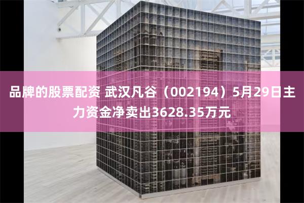 品牌的股票配资 武汉凡谷（002194）5月29日主力资金净卖出3628.35万元