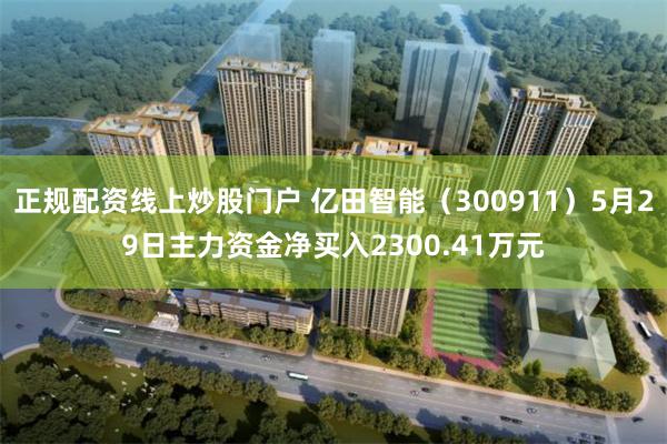 正规配资线上炒股门户 亿田智能（300911）5月29日主力资金净买入2300.41万元
