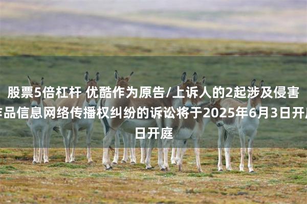 股票5倍杠杆 优酷作为原告/上诉人的2起涉及侵害作品信息网络传播权纠纷的诉讼将于2025年6月3日开庭