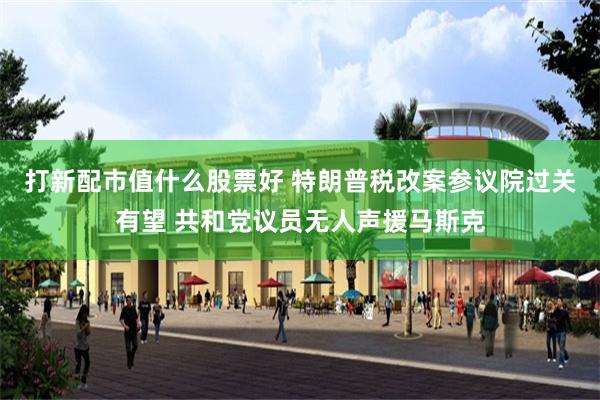 打新配市值什么股票好 特朗普税改案参议院过关有望 共和党议员无人声援马斯克