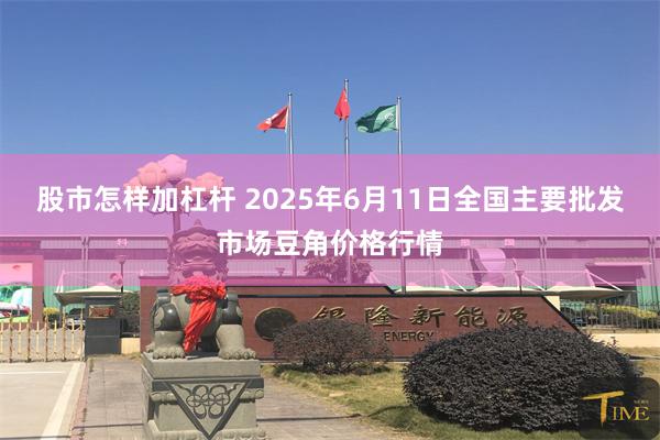 股市怎样加杠杆 2025年6月11日全国主要批发市场豆角价格行情