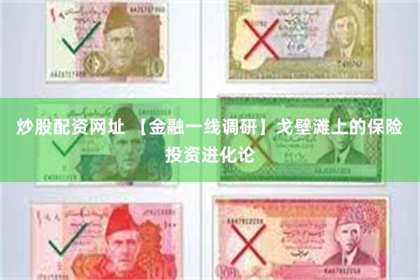 炒股配资网址 【金融一线调研】戈壁滩上的保险投资进化论