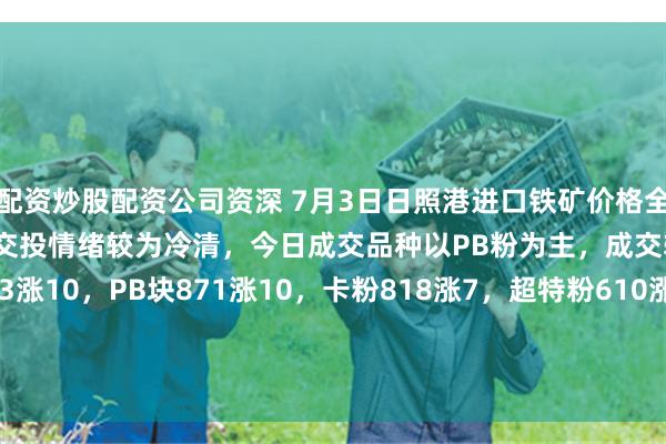 配资炒股配资公司资深 7月3日日照港进口铁矿价格全天累计上涨7-10。市场交投情绪较为冷清,今日成交品种以PB粉为主,成交较少。现PB粉723涨10,PB块871涨10,卡粉818涨7,超特粉610涨7,58.5%SP10粉650涨7,48.5%榕海烘干镍铁矿385平。(对比前一工作日晚间价格;单位:元/湿吨)