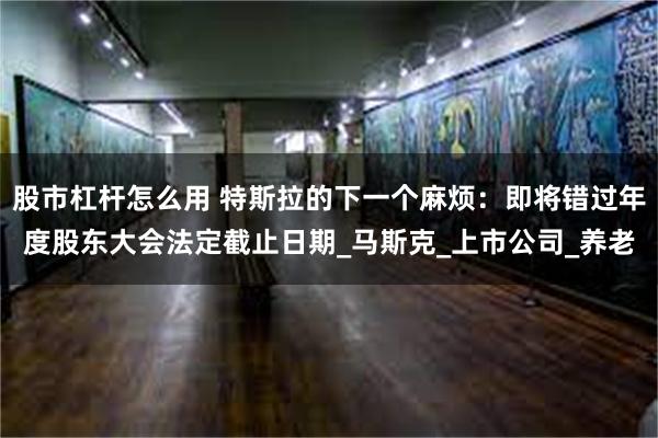 股市杠杆怎么用 特斯拉的下一个麻烦：即将错过年度股东大会法定截止日期_马斯克_上市公司_养老