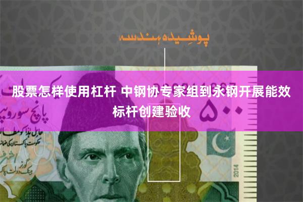 股票怎样使用杠杆 中钢协专家组到永钢开展能效标杆创建验收