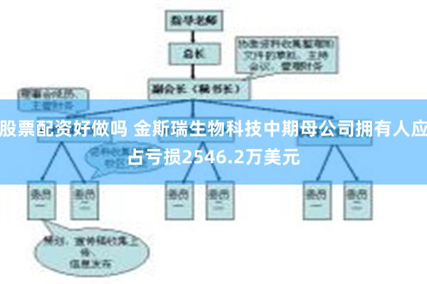股票配资好做吗 金斯瑞生物科技中期母公司拥有人应占亏损2546.2万美元