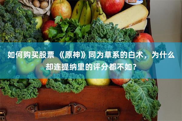 如何购买股票 《原神》同为草系的白术，为什么却连提纳里的评分都不如？